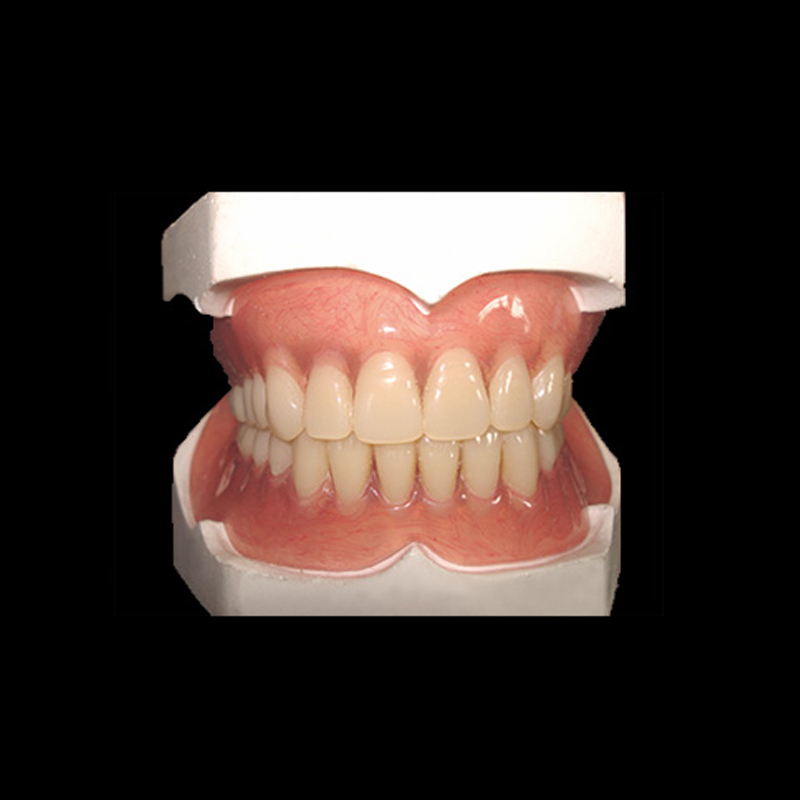 Donec plena Denture